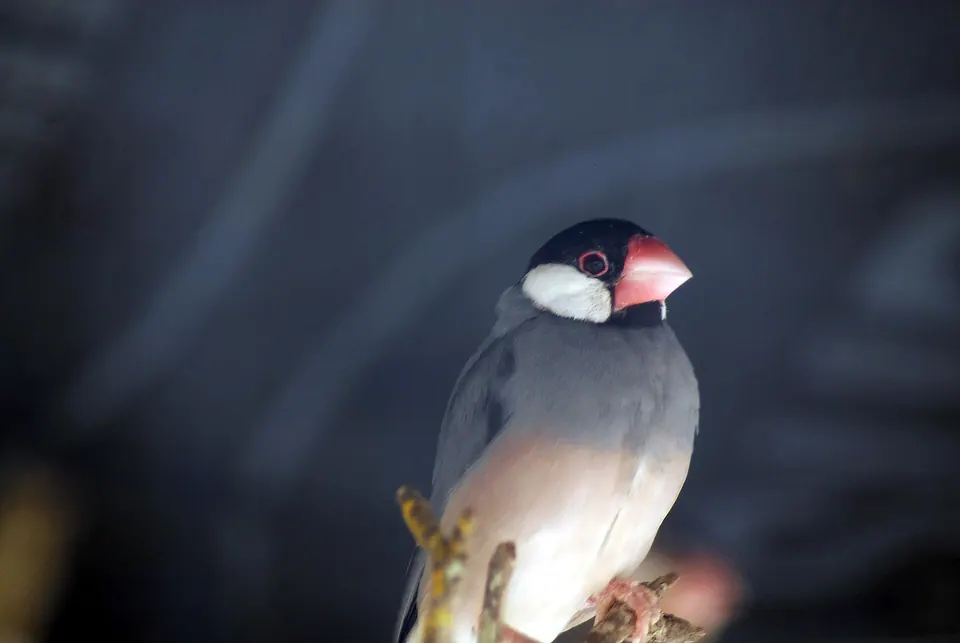 Protur Natura Farm, photo 3 of 44
