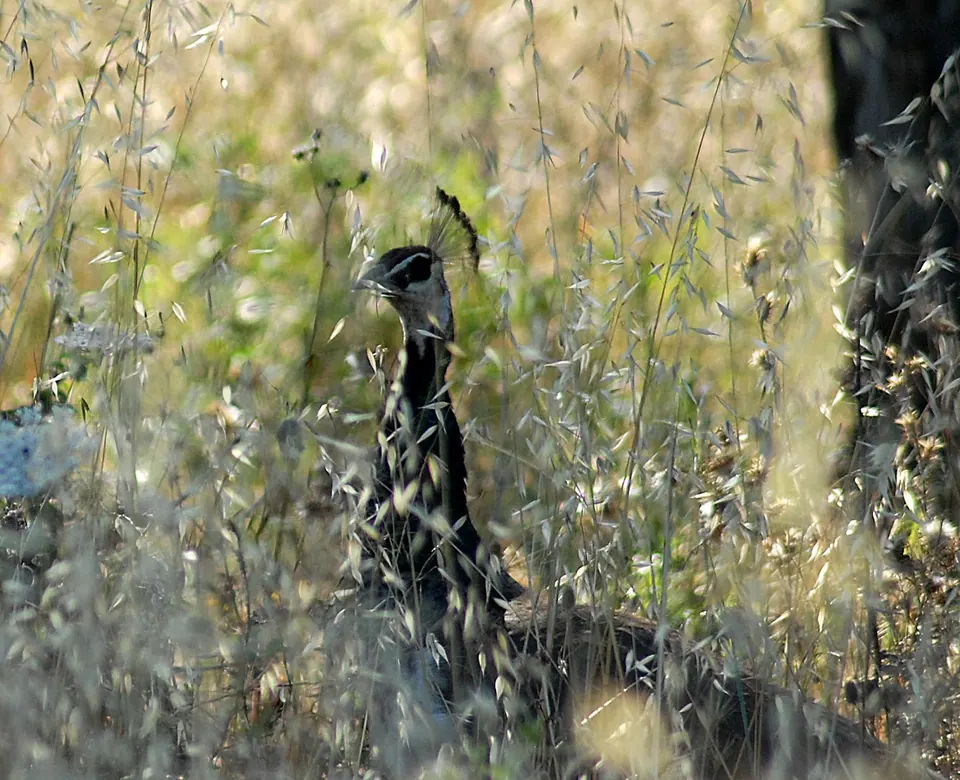 Protur Natura Farm, photo 4 of 44