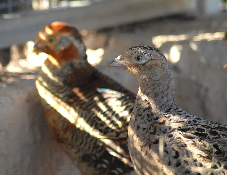 Protur Natura Farm, photo 8 of 44