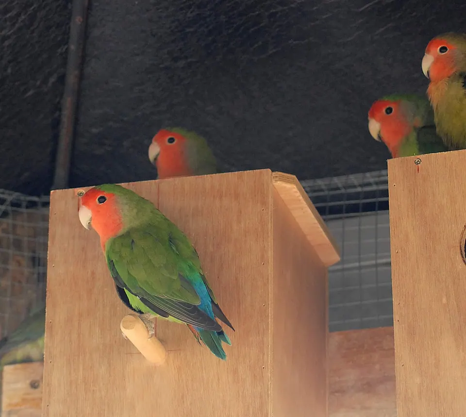 Protur Natura Farm, photo 9 of 44