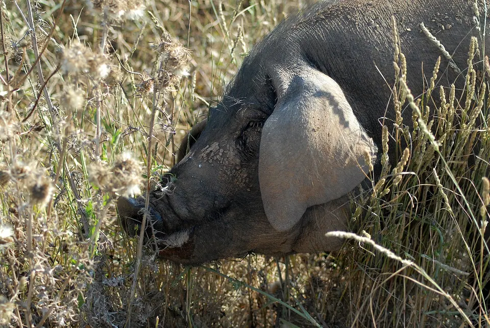 Protur Natura Farm, photo 10 of 44