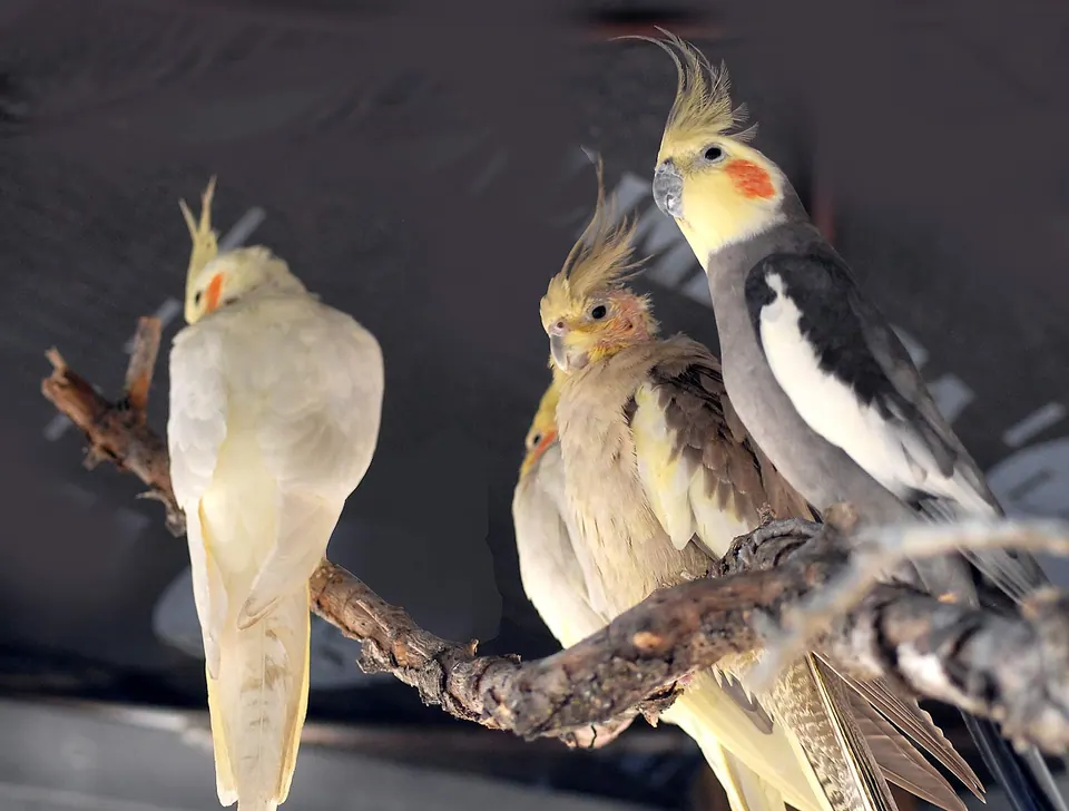 Protur Natura Farm, photo 13 of 44