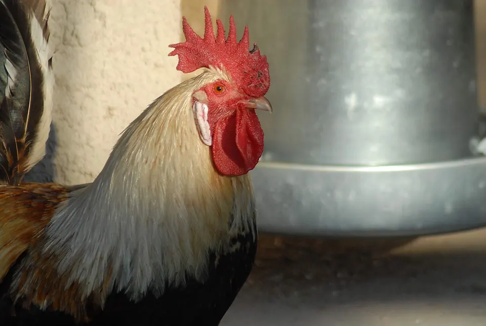 Protur Natura Farm, photo 17 of 44