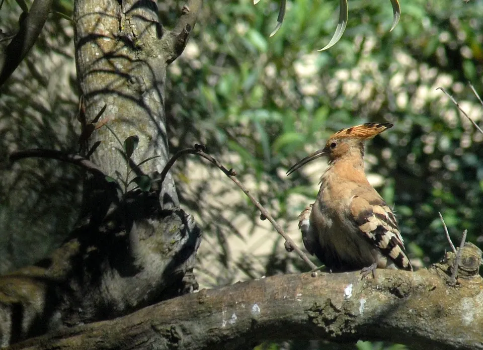 Protur Natura Farm, photo 19 of 44