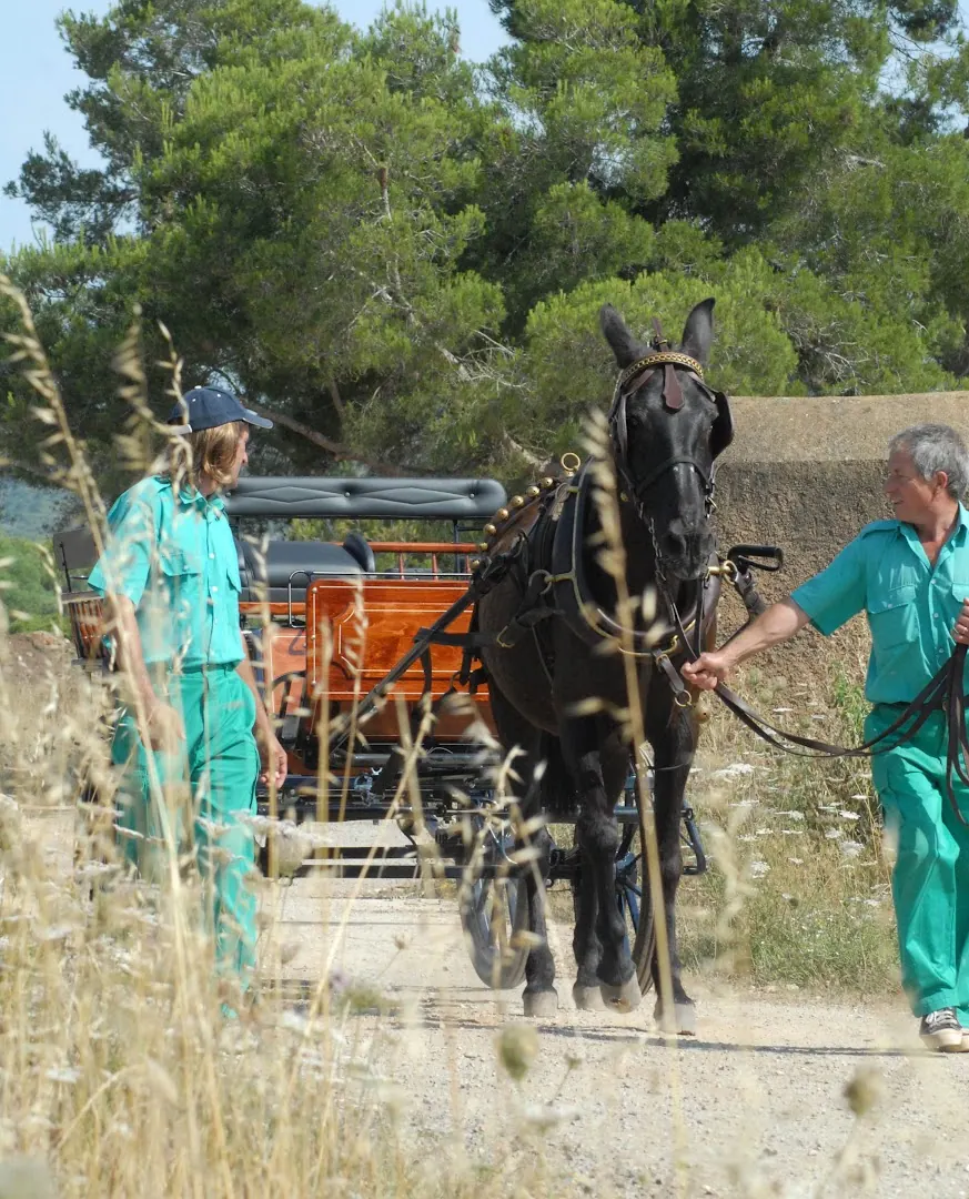 Protur Natura Farm, photo 22 of 44