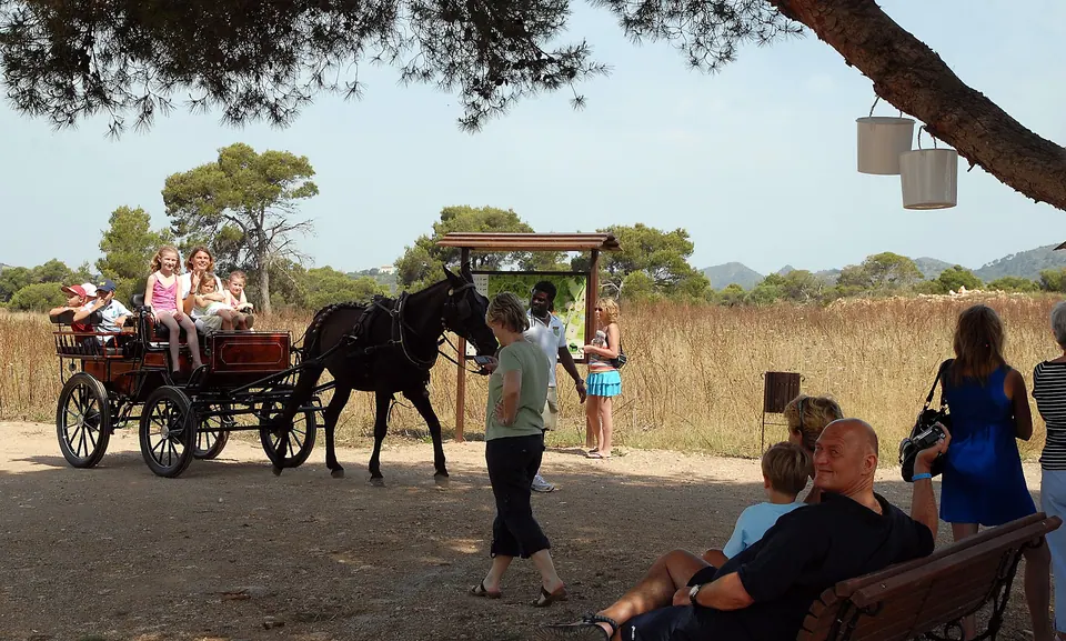 Protur Natura Farm, photo 32 of 44