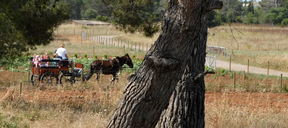 Protur Natura Farm, photo 33 of 44