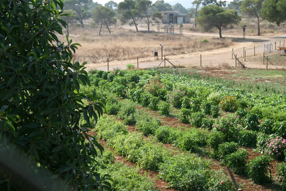 Protur Natura Farm, photo 35 of 44