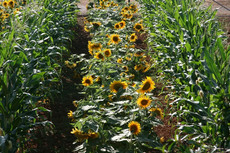 Protur Natura Farm, photo 36 of 44