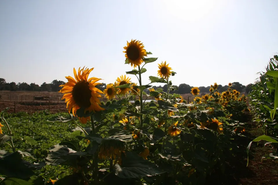 Protur Natura Farm, photo 38 of 44