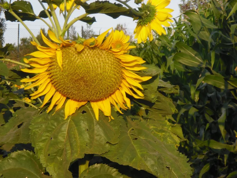 Protur Natura Farm, photo 39 of 44