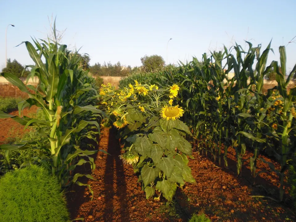 Protur Natura Farm, photo 40 of 44