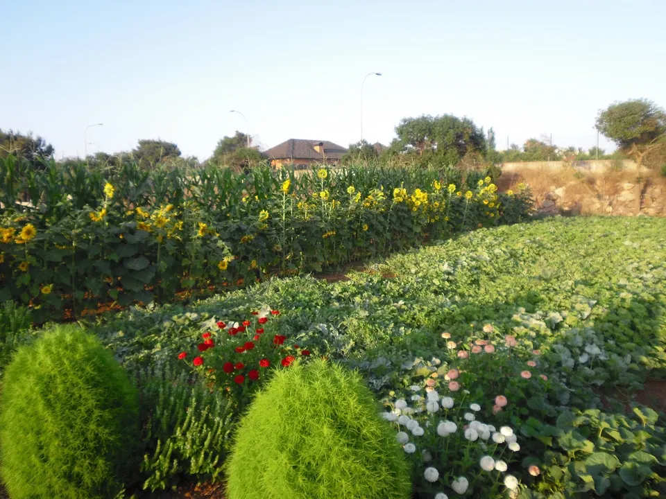 Protur Natura Farm, photo 41 of 44
